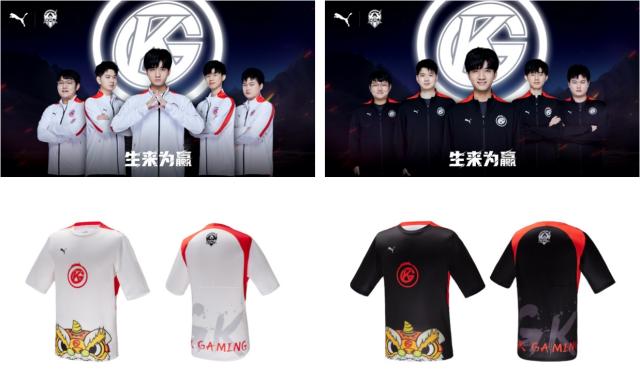 旱地冰球以 旱地冰球以